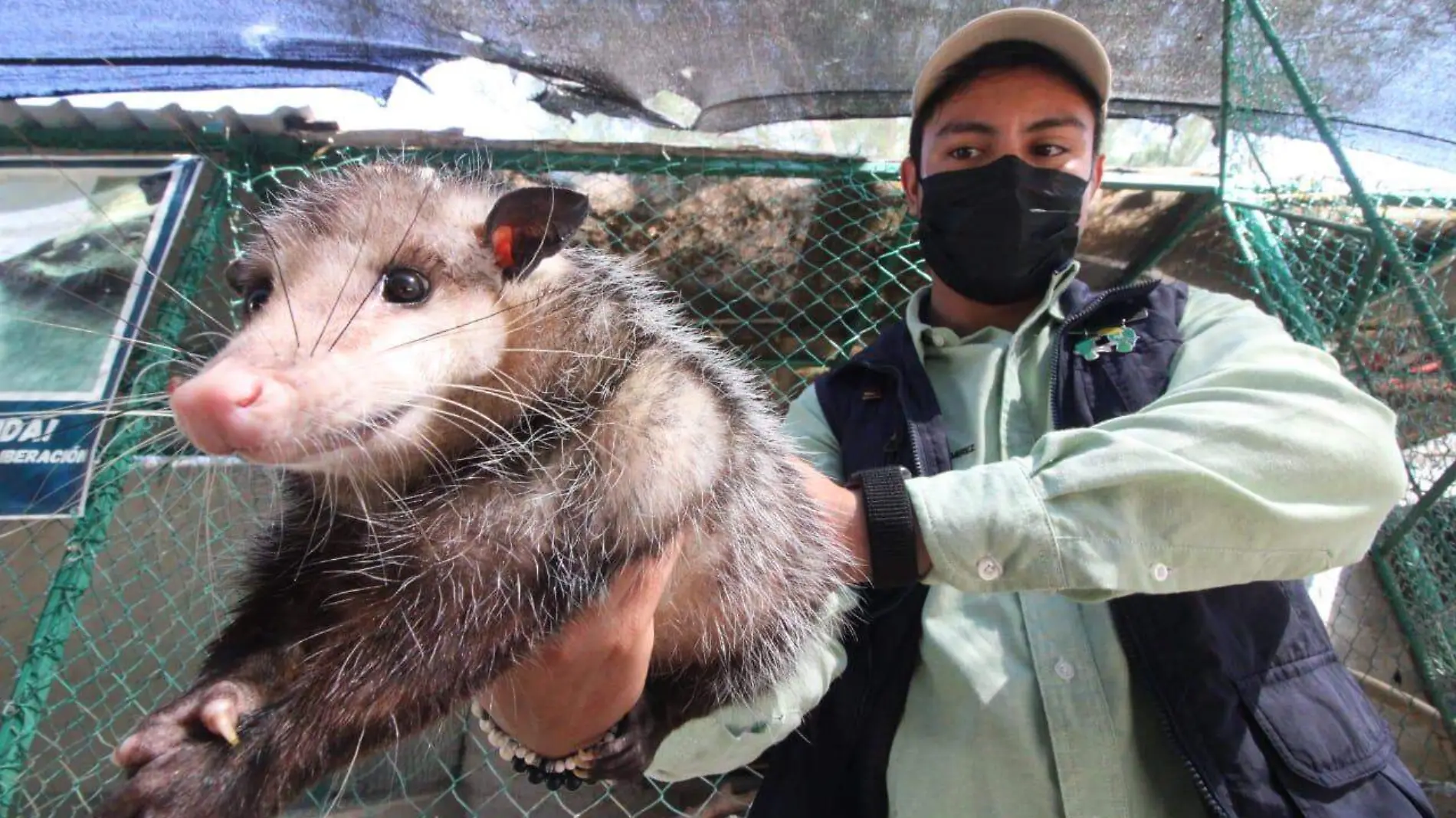 el principal objetivo es dar servicio a los animales silvestres que sean recuperados por las autoridades